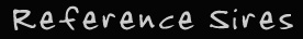 Reference Sires